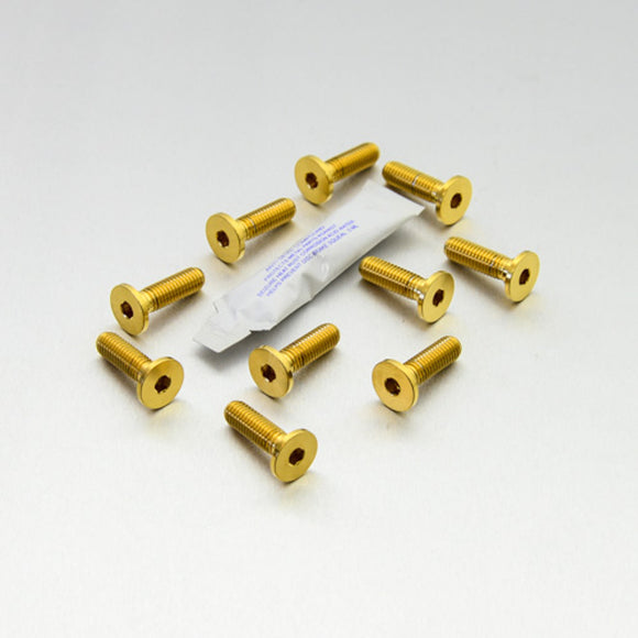 Pro-Bolt Stainless Steel Disc Bolt Kit 10x M8x1.25 for BMW