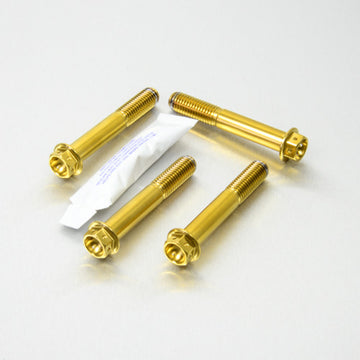 Buy gold Pro-Bolt Stainless Steel Front Caliper Mounting Bolt Kit - Race Spec for BMW